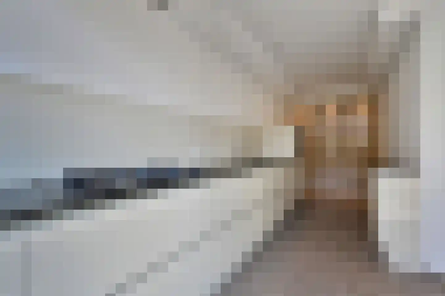 IJsvogellaan 56 Leidschendam thumbnail 12