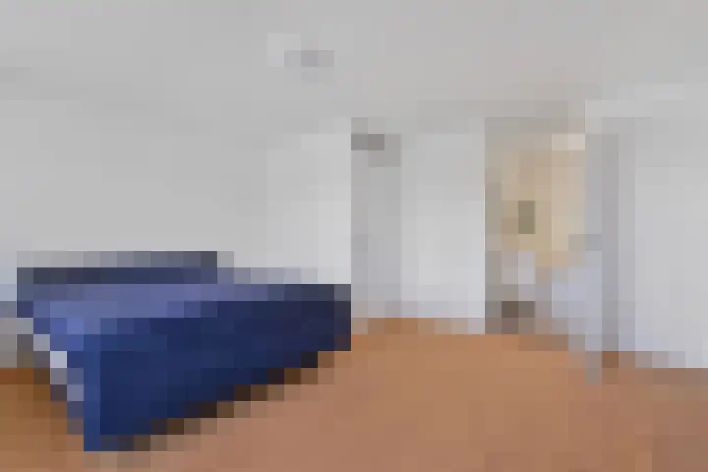 IJsvogellaan 56 Leidschendam thumbnail 13