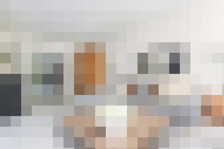 IJsvogellaan 62 Leidschendam thumbnail 12
