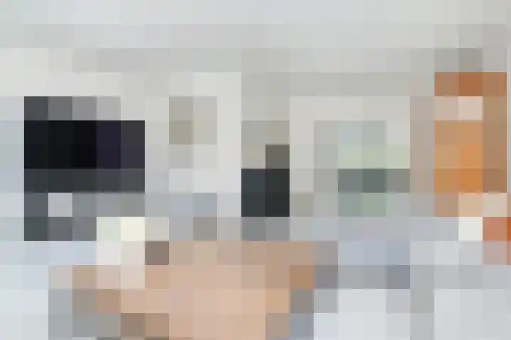 IJsvogellaan 62 Leidschendam thumbnail 13