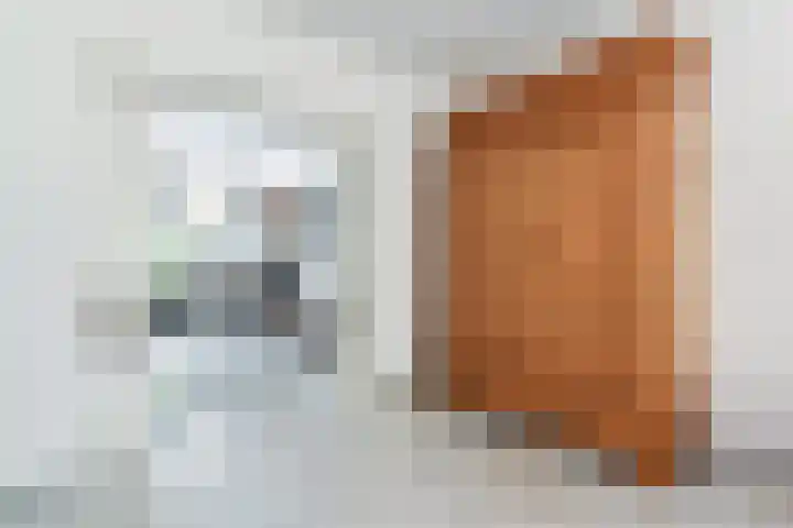 IJsvogellaan 62 Leidschendam thumbnail 14