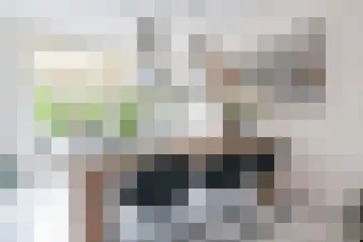 IJsvogellaan 62 Leidschendam thumbnail 15