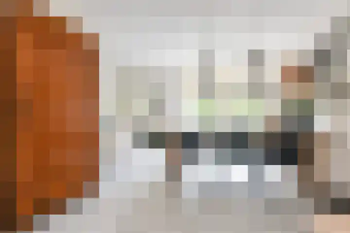 IJsvogellaan 62 Leidschendam thumbnail 16
