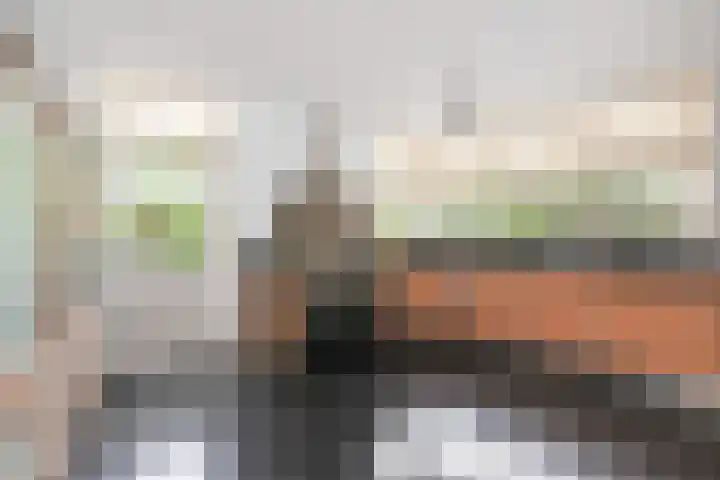 IJsvogellaan 62 Leidschendam thumbnail 20