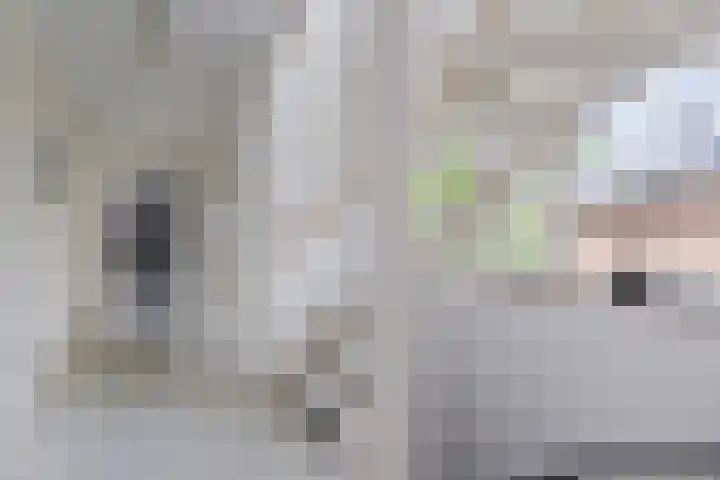 IJsvogellaan 62 Leidschendam thumbnail 25