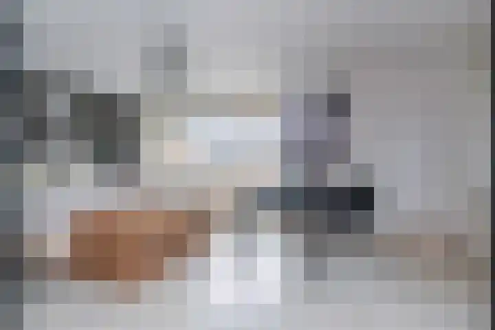 IJsvogellaan 62 Leidschendam thumbnail 26