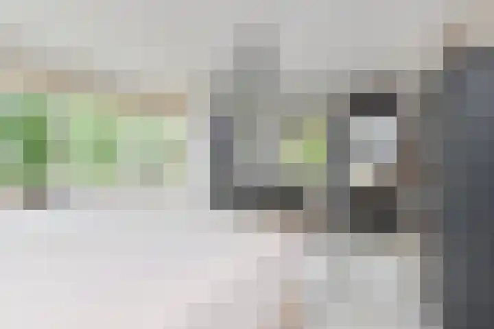 IJsvogellaan 62 Leidschendam thumbnail 27