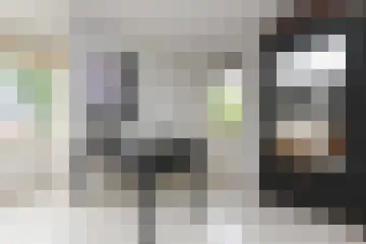 IJsvogellaan 62 Leidschendam thumbnail 28