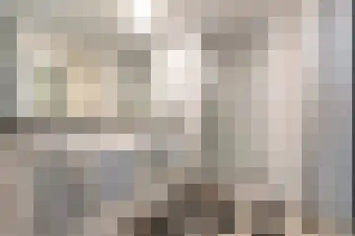 IJsvogellaan 62 Leidschendam thumbnail 33