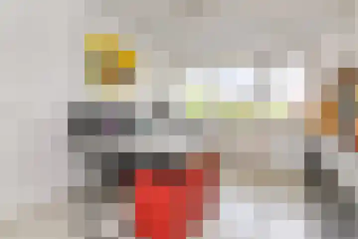 IJsvogellaan 62 Leidschendam thumbnail 36