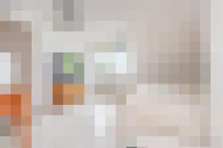 IJsvogellaan 62 Leidschendam thumbnail 39