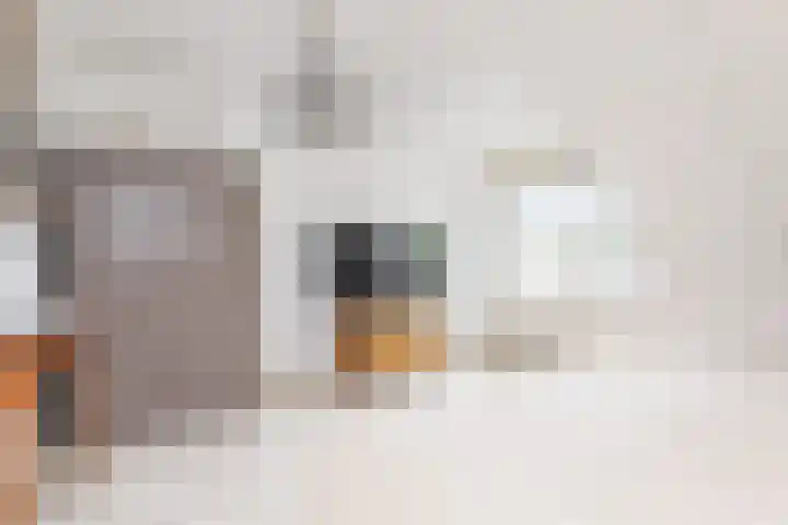 IJsvogellaan 62 Leidschendam thumbnail 41