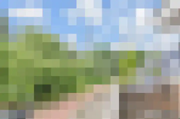 IJsvogellaan 62 Leidschendam thumbnail 43