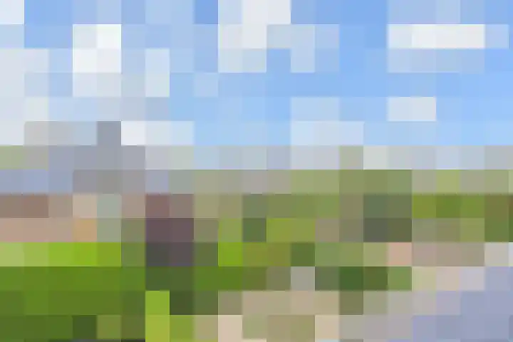 IJsvogellaan 62 Leidschendam thumbnail 44