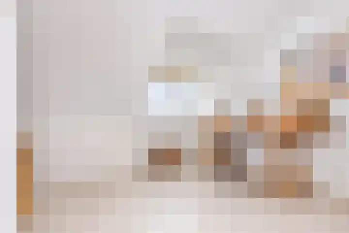IJsvogellaan 62 Leidschendam thumbnail 45