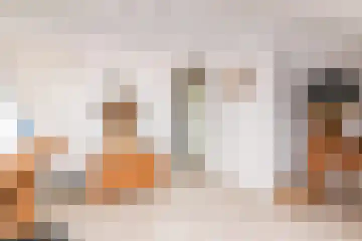IJsvogellaan 62 Leidschendam thumbnail 47