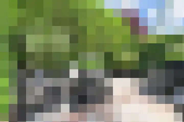 IJsvogellaan 62 Leidschendam thumbnail 49