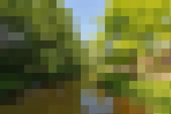 IJsvogellaan 62 Leidschendam thumbnail 54