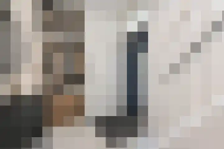 IJsvogellaan 62 Leidschendam thumbnail 9