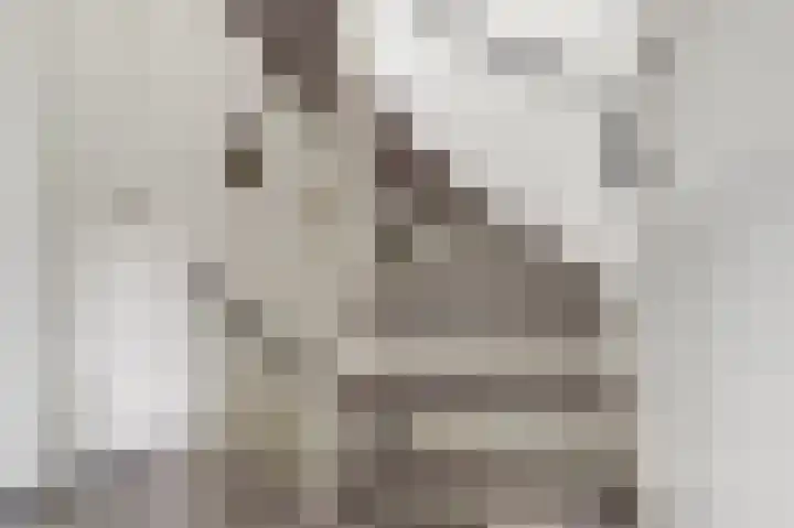 IJsvogellaan 7 Leerdam thumbnail 16