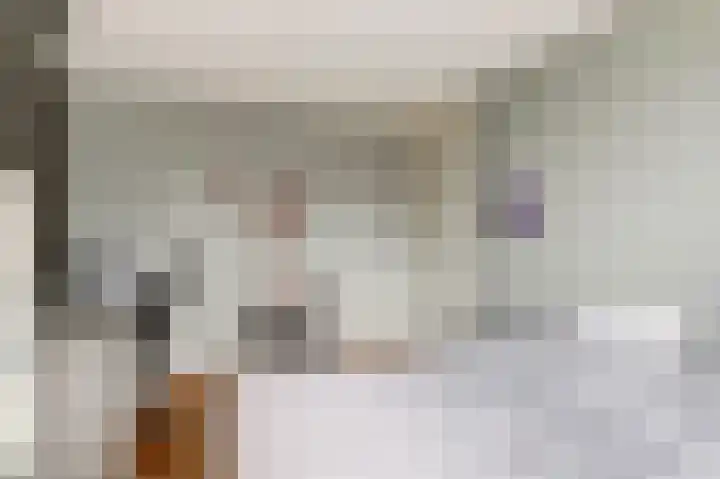 IJsvogellaan 7 Leerdam thumbnail 26