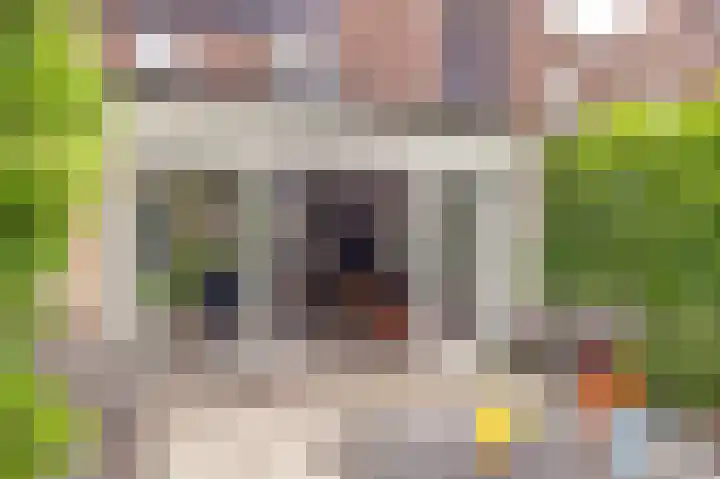 IJsvogellaan 7 Leerdam thumbnail 35