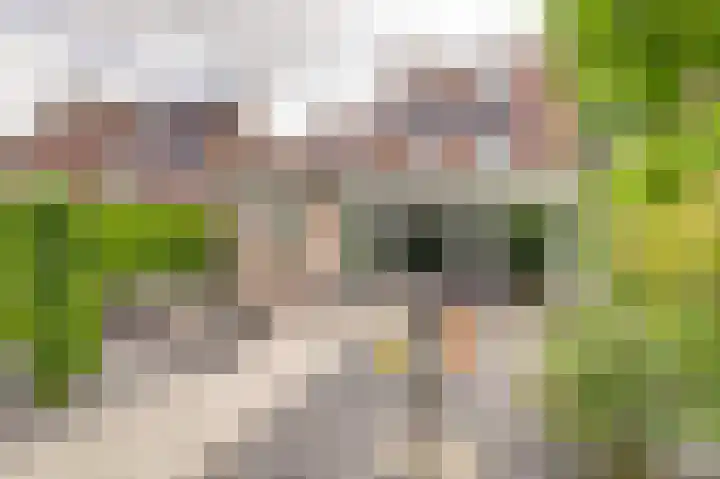 IJsvogellaan 7 Leerdam thumbnail 36