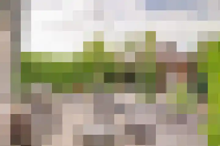 IJsvogellaan 7 Leerdam thumbnail 37