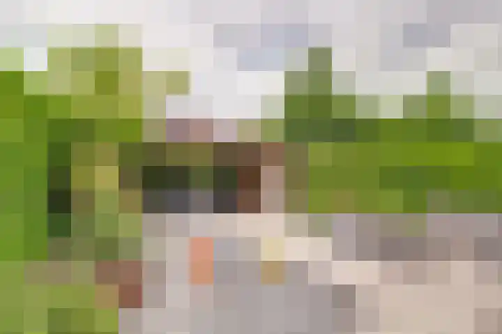 IJsvogellaan 7 Leerdam thumbnail 5
