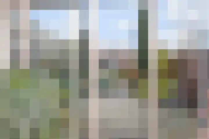 IJsvogelpad 10 Delft thumbnail 12
