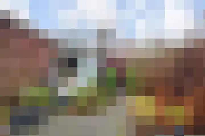 IJsvogelpad 10 Delft thumbnail 14