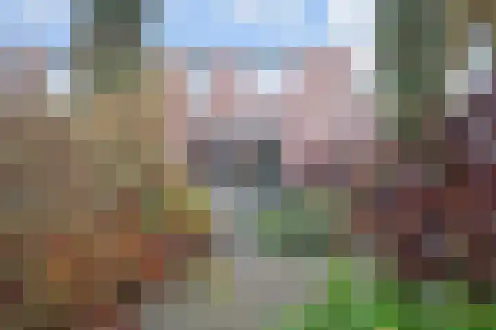 IJsvogelpad 10 Delft thumbnail 15