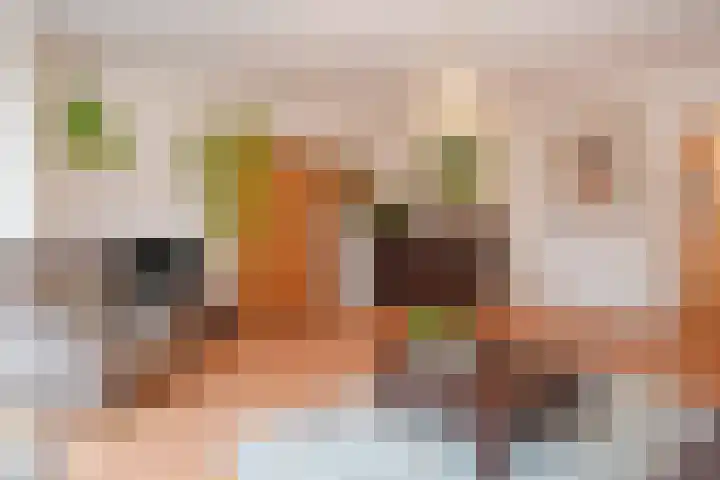 IJsvogelpad 10 Delft thumbnail 18