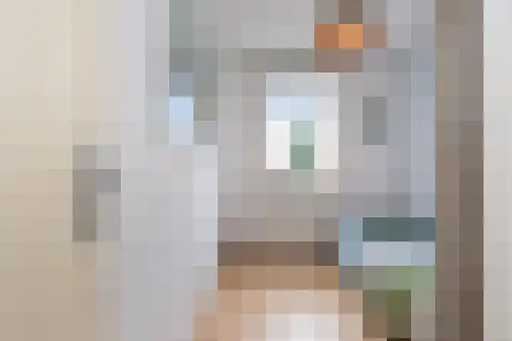 IJsvogelpad 10 Delft thumbnail 27