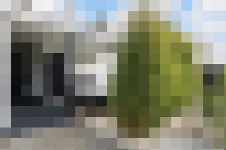 IJsvogelpad 10 Delft thumbnail 28