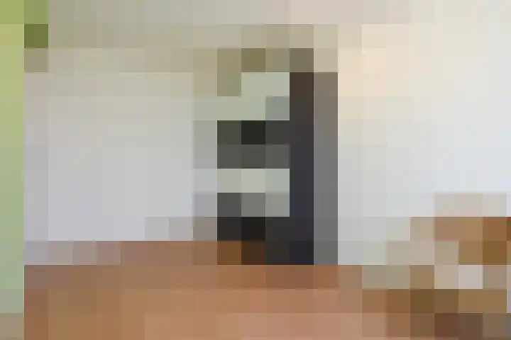 IJsvogelpad 10 Delft thumbnail 34