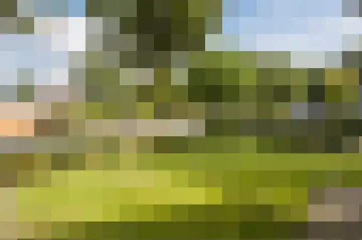 IJsvogelpad 10 Delft thumbnail 36