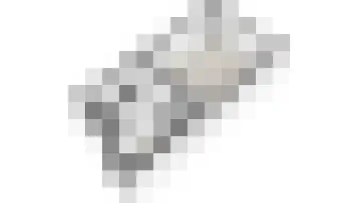 IJsvogelpad 10 Delft thumbnail 41