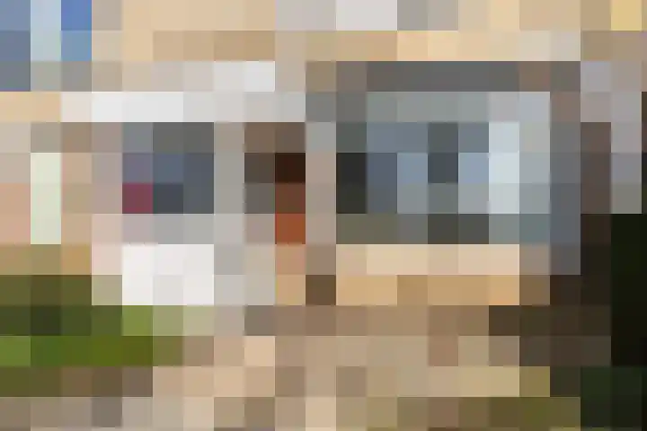IJsvogelpad 10 Delft thumbnail 43
