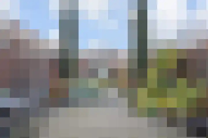 IJsvogelpad 10 Delft thumbnail 5