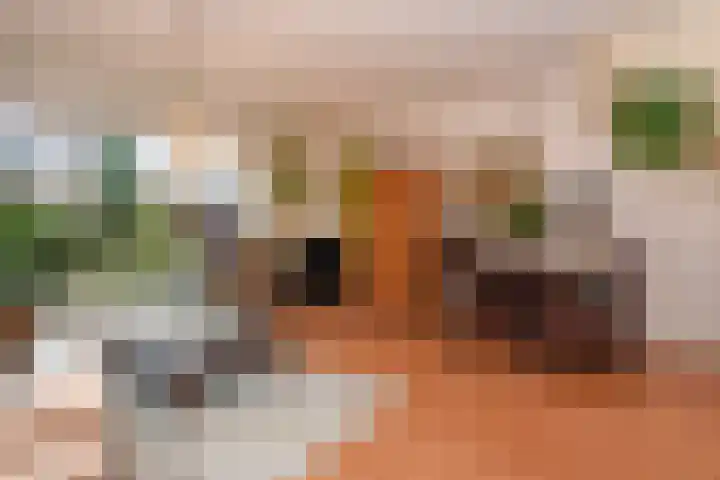 IJsvogelpad 10 Delft thumbnail 9