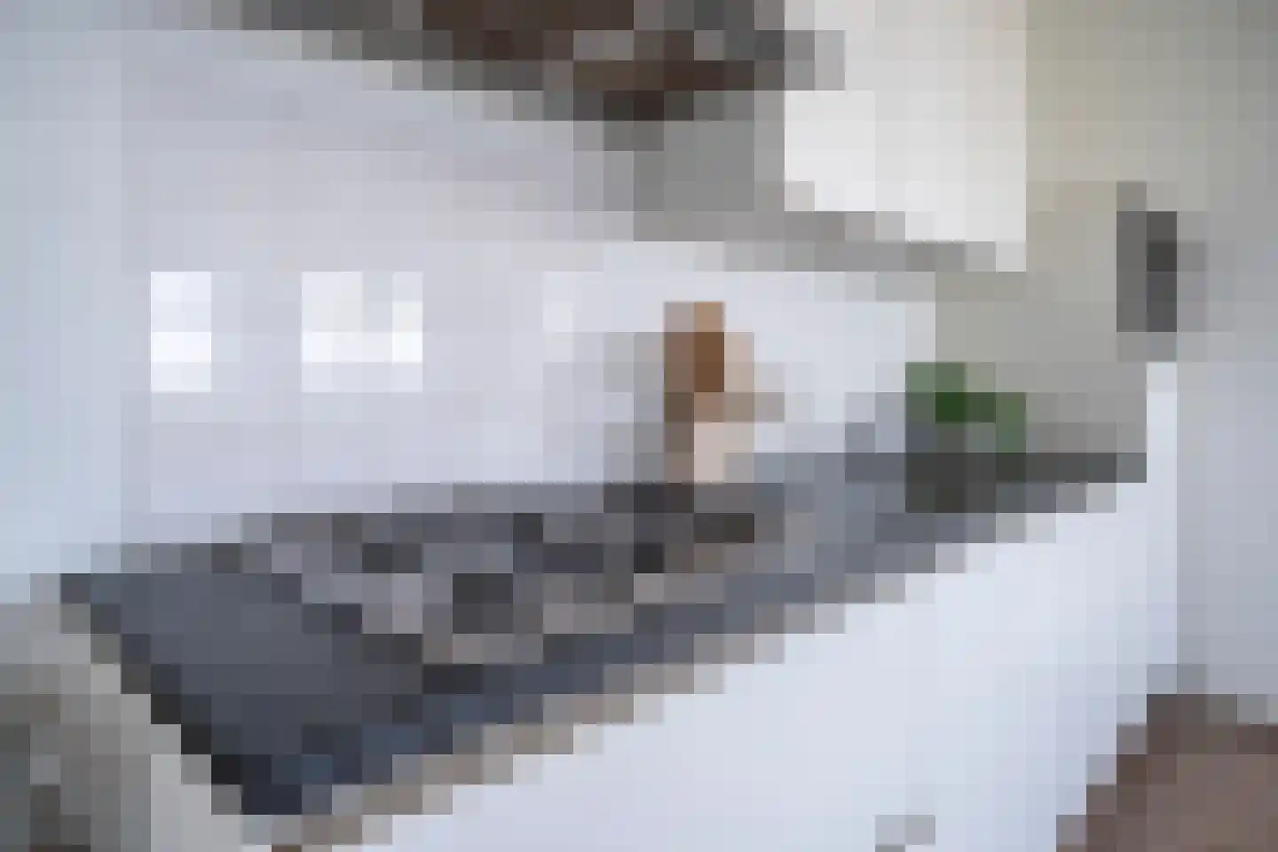 IJsvogelpassage 101 Nijmegen thumbnail 16