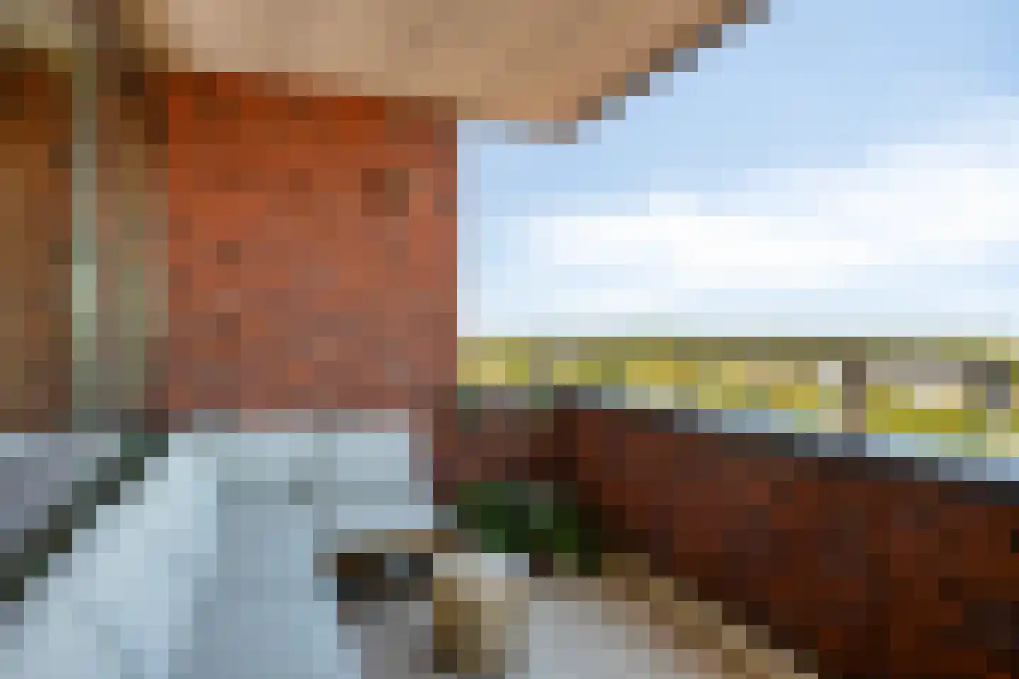 IJsvogelpassage 109 Nijmegen thumbnail 4