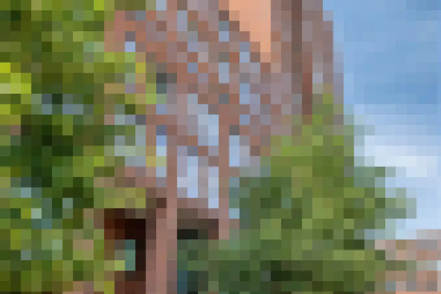 IJsvogelpassage 19 Nijmegen thumbnail 21