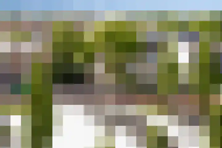 IJsvogelpassage 37 Nijmegen thumbnail 24