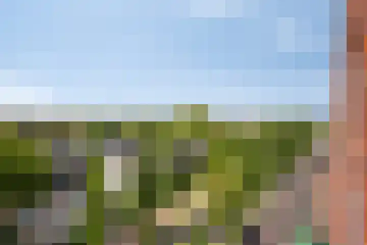 IJsvogelpassage 37 Nijmegen thumbnail 25