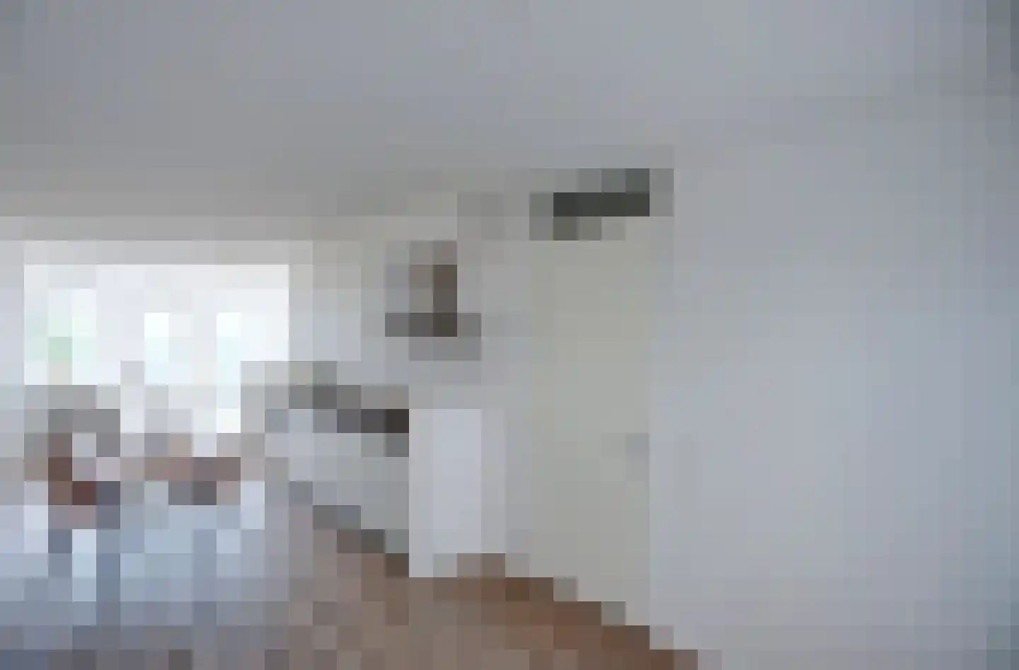 IJsvogelpassage 40 Nijmegen thumbnail 8