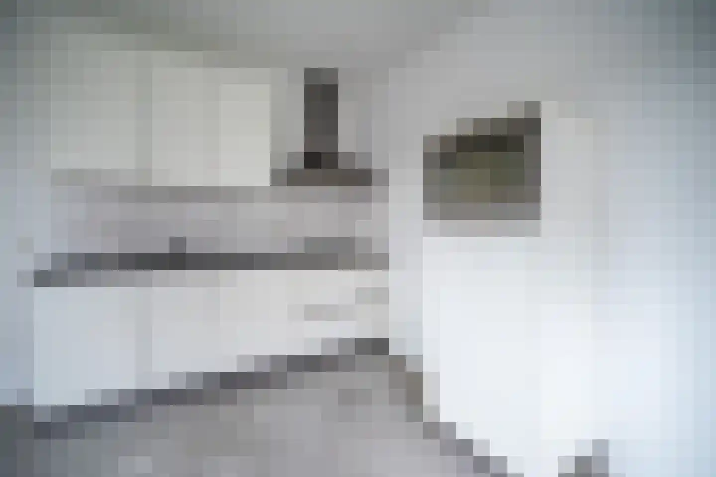 IJsvogelpassage 6 Nijmegen thumbnail 11