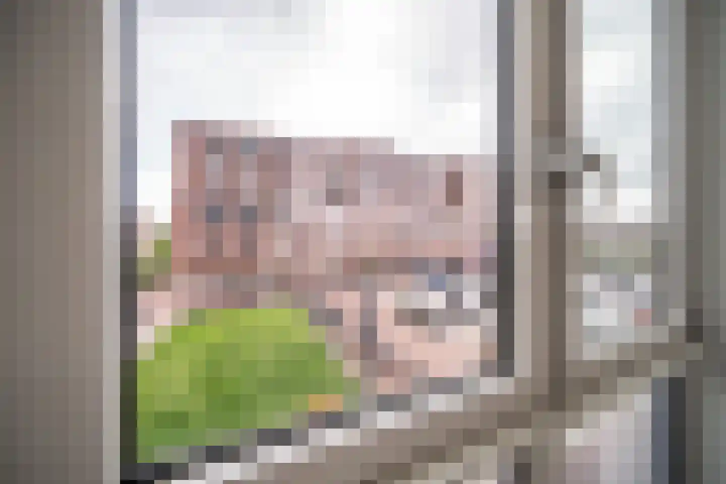 IJsvogelpassage 6 Nijmegen thumbnail 16