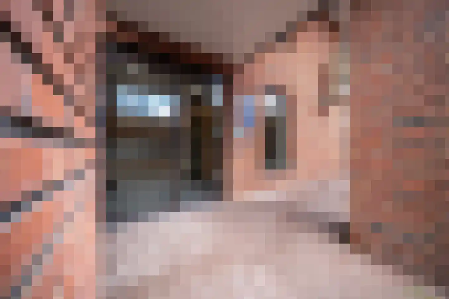 IJsvogelpassage 6 Nijmegen thumbnail 4